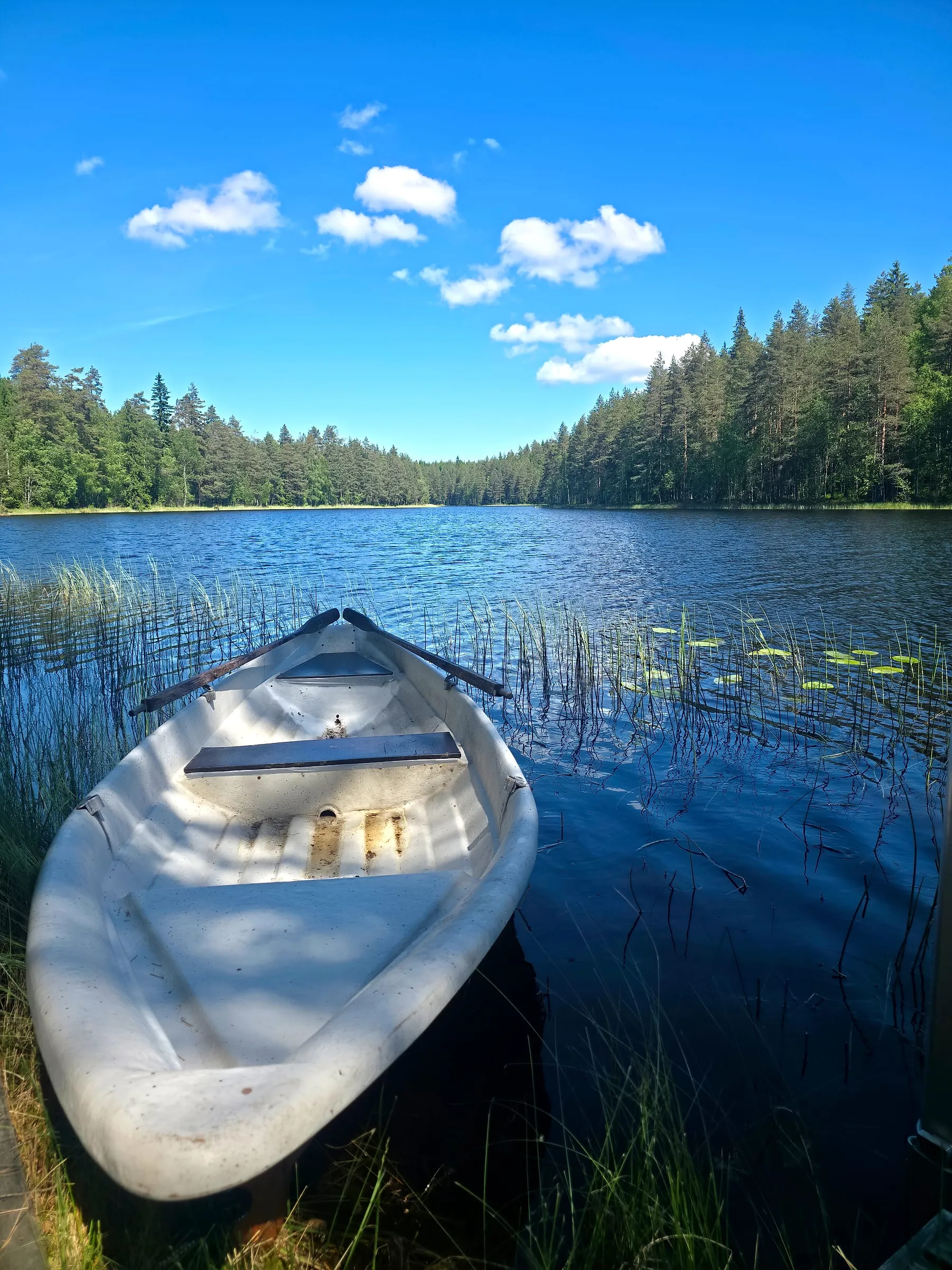 Soutuvene järvellä