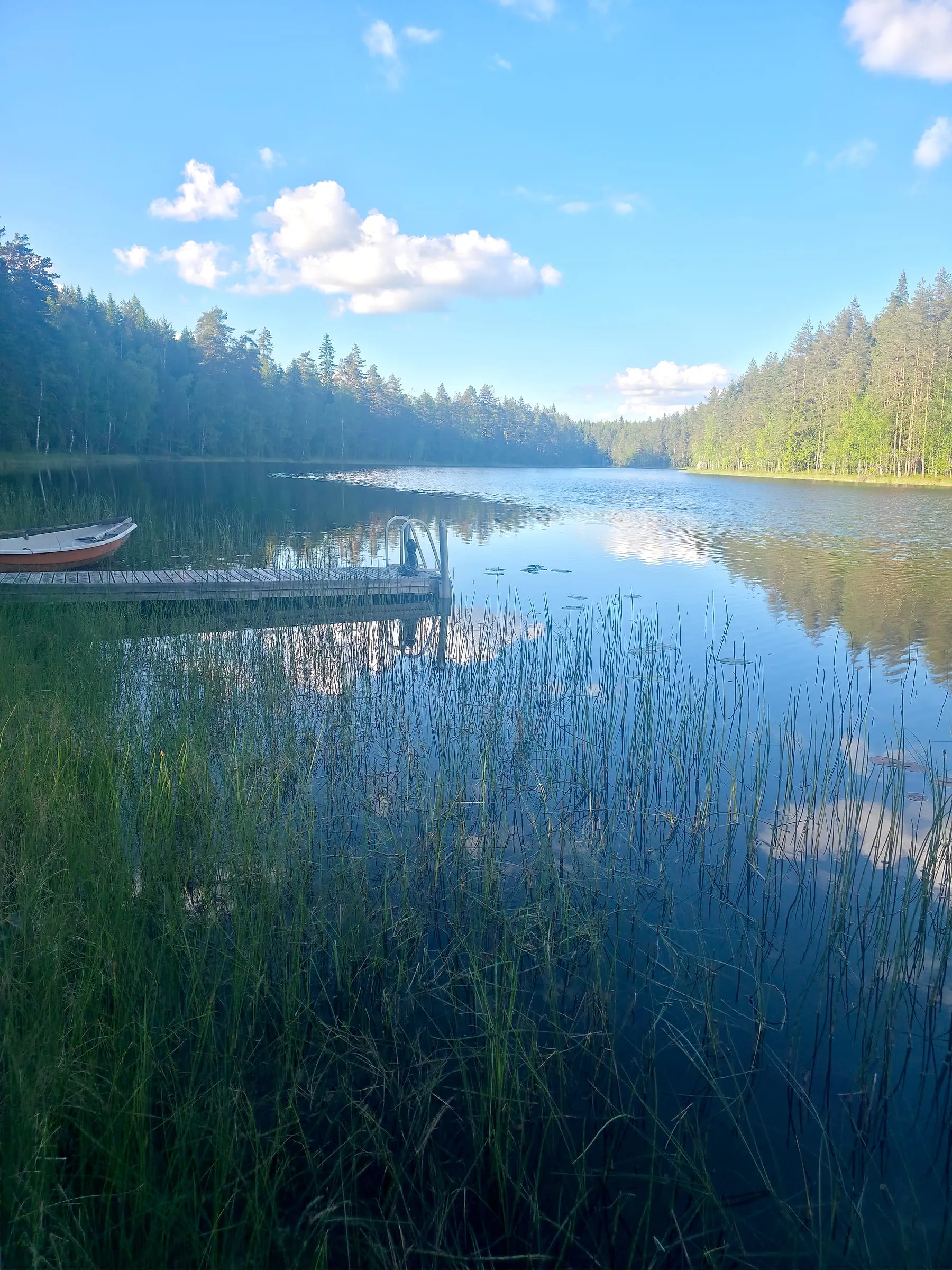 Talon oma järvi