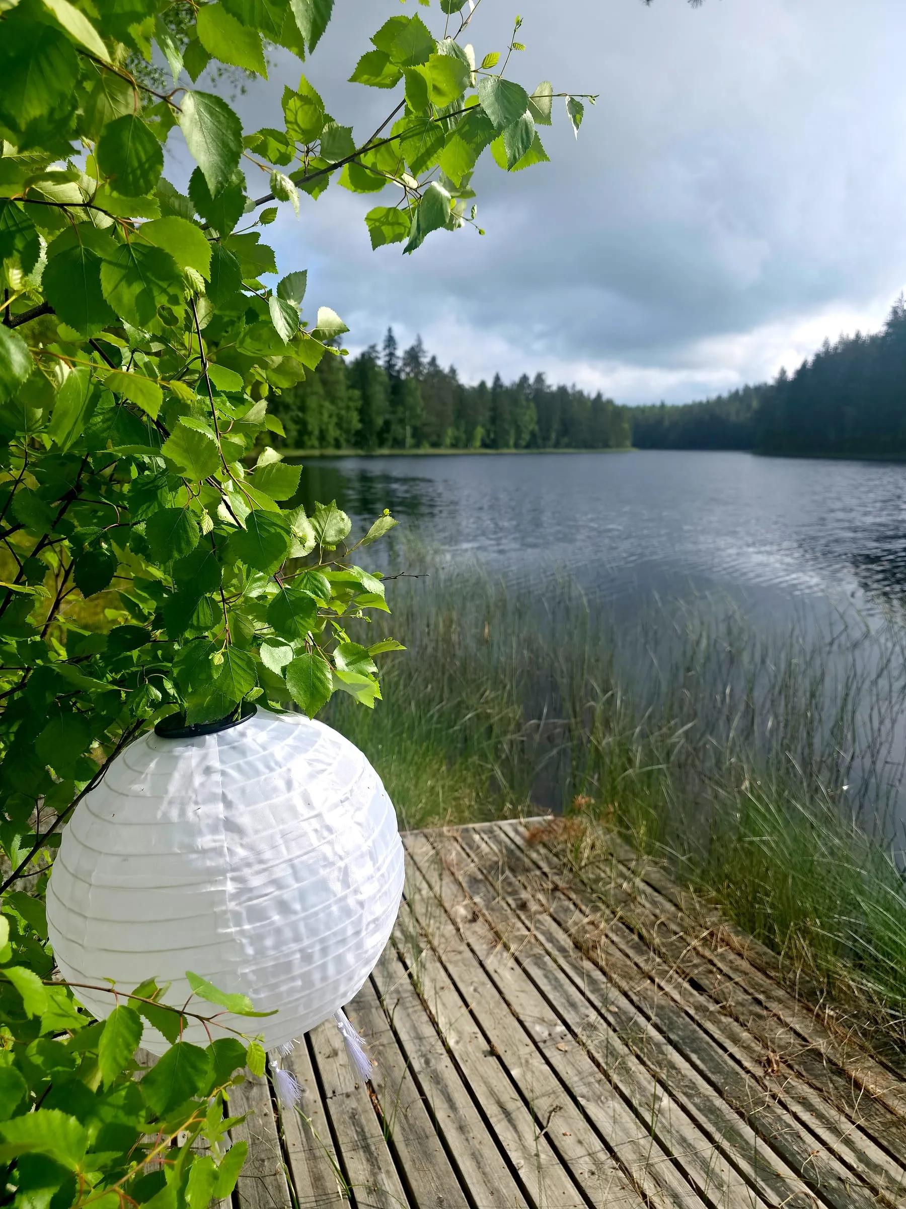 Laituri järvellä