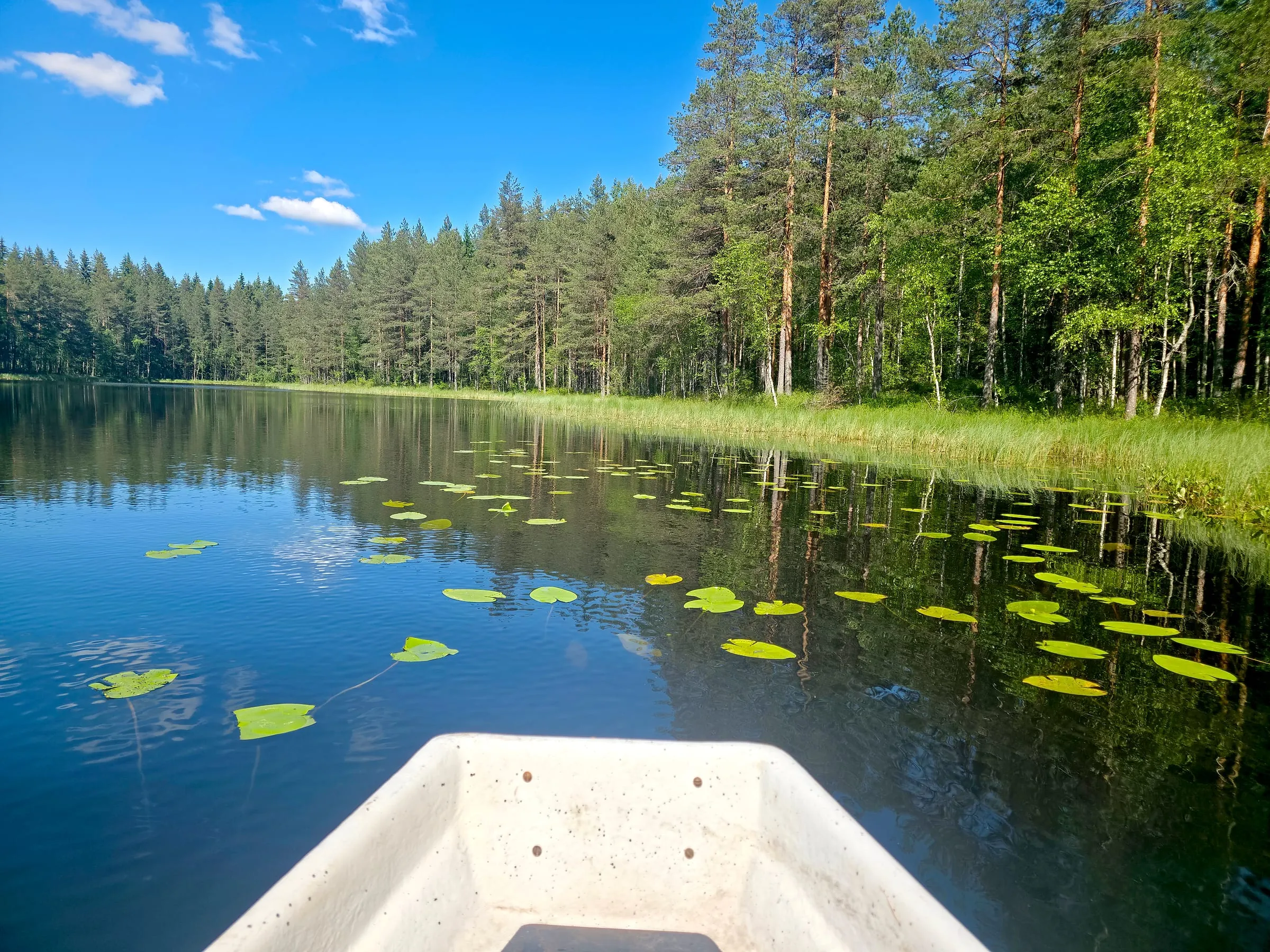 Talon oma järvi